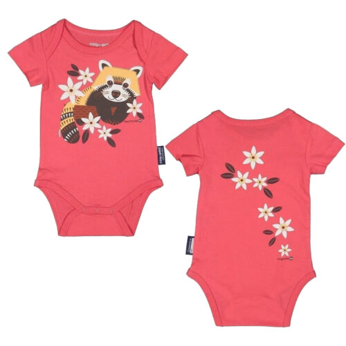 Red Panda Baby Body