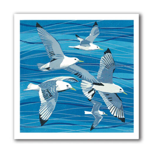 IGC183 Soaring Kittiwakes card by Nico cards