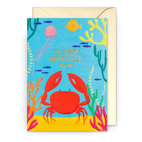 birthday boy card by lagom