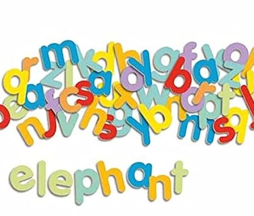 Djeco DJ03102 Wooden Magnetics, Multicoloured